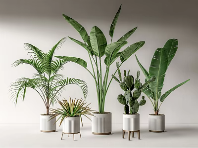 Green Potted Plants With Palm Banana Leaf Cactus In White Striped Pots And Stands 3d model
