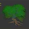 Vibrant Decorative Plant Featuring Lush Green Leaves Unique Twisted Roots And Natural Artistic Design