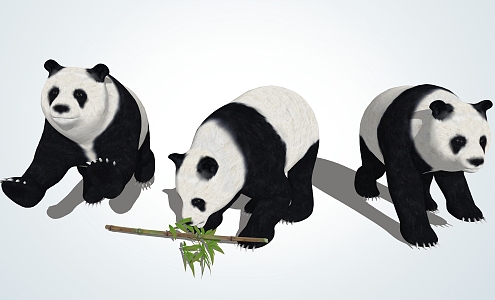 Modern Panda Giant Panda 3d model