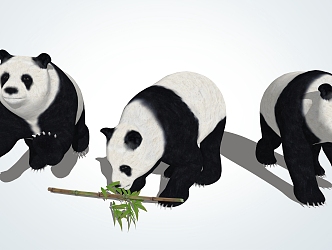 Modern Panda Giant Panda 3d model