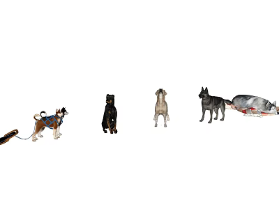 Various Reptile Species Including Lizards Snakes And Turtles In Natural Habitat 3d model