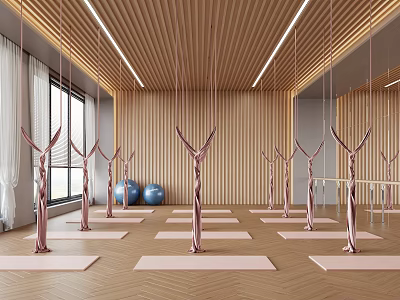 Modern Yoga Studio Interior With Pink Hammocks Yoga Mats Wooden Walls And Floor-to-Ceiling Windows 3d model