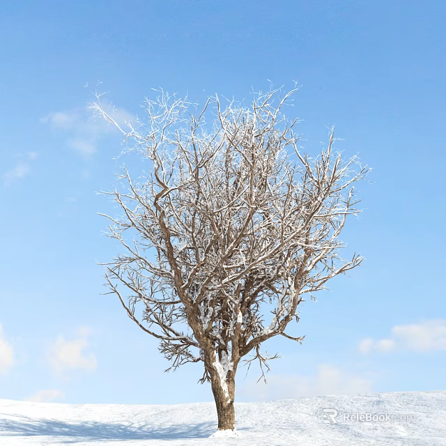 Barren Tree with Thin Branches Against Blue Sky and White Clouds 3d model 