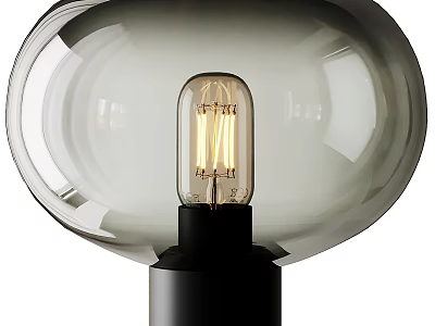 Modern Table Lamp with Spherical Glass Shade and Vintage Filament Bulb on Black Base 3d model