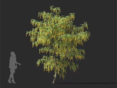 Lush Green Arbor With Hanging Yellow Blossoms And Human Silhouette For Size Reference 3d model