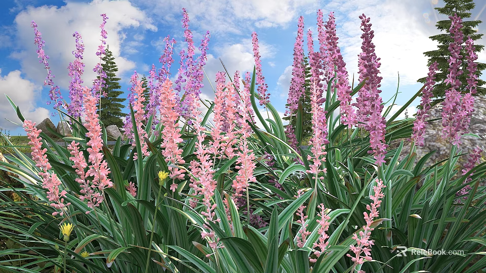 Pink and Purple Flowers With Tall Stems Green Leaves Blue Sky and White Clouds 3d model 