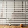 Modern White Window Blinds In Contemporary Interior With Wooden Floor And Green Plant