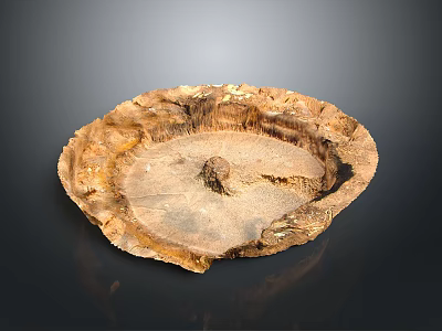 Natural Eroded Dry Brown Textured Circular Landform Landscape With Rough Ground Surface 3d model