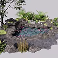 Beautiful Garden Ornament with Small Pond Pink Flowers Rocks and Lush Green Plants
