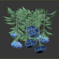 Lush Indoor Plant With Vibrant Green Leaves And Blue Decorative Base