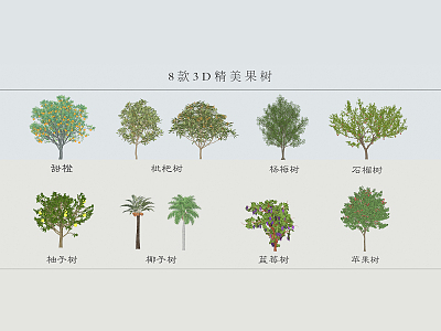 Modern Tree Fruit Tree model