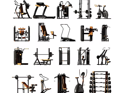 Essential Home Gym Fitness Equipment Including Treadmills Dumbbells Benches And Exercise Machines 3d model