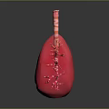 Human Lungs 3D Model with Red Color and Trachea Anatomical Structure 3d model