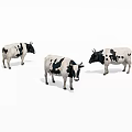 Three Black And White Spotted Cows Standing On White Background 3d model