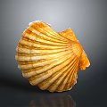 Beautiful Natural Orange Yellow Striped Scallop Shell As Decorative Household Item For Home Decor