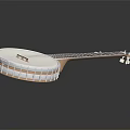 Acoustic Banjo String Musical Instrument With Wooden Neck White Resonator And Metal Parts