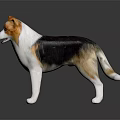 Brown Black and White Dog Figurine Standing on Dark Background with Reflection