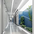 Modern Office Corridor with White Walls Blue Accent Wall Green Plants and Ceiling Lighting