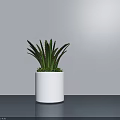 Green Leaf Potted Plant In White Cylindrical Pot On Tabletop With Light Gray Wall