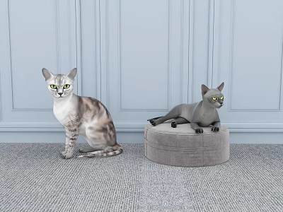 Two Cats In Modern Interior With Light Blue Walls And Carpeted Floor 3d model