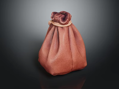 Modern Bag Leather Bag Cloth Bag Leather Bag 3d model