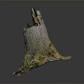 Natural Wooden Stone Stump With Mossy Base And Intricate Surface Texture