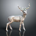 Realistic Standing Deer With Large Antlers On Dark Background With Reflection 3d model