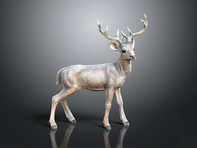 Realistic Standing Deer With Large Antlers On Dark Background With Reflection 3d model