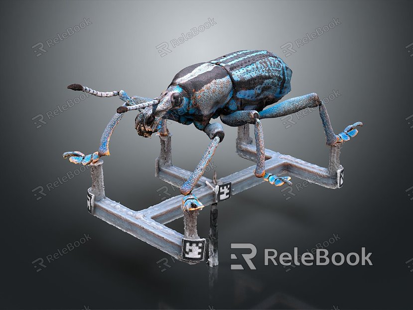 Beetle Beetle Scarab Insect Animal Game Animal Cartoon Animal Animal model