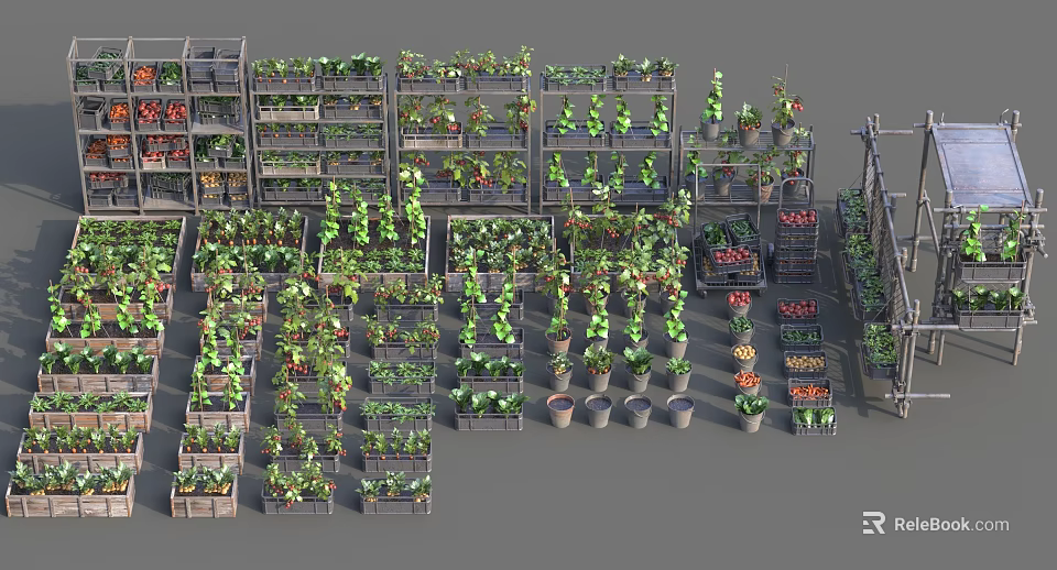 Fresh Food Vegetables Display On Multiple Shelves With Various Green Plants And Produce 3d model 