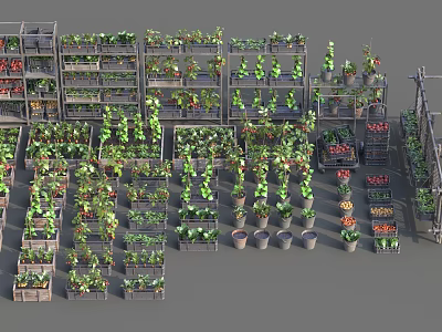 Fresh Food Vegetables Display On Multiple Shelves With Various Green Plants And Produce 3d model