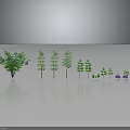 Green Plants of Various Sizes and Shapes Against Grey Background with Reflections
