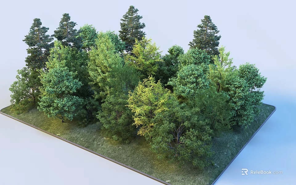 Lush Tall Green Trees in Natural Forest Landscape With Dense Foliage and Vibrant Vegetation 3d model 