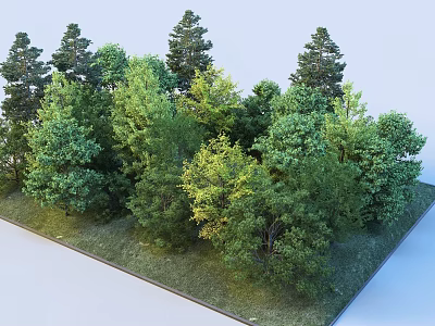 Lush Tall Green Trees in Natural Forest Landscape With Dense Foliage and Vibrant Vegetation 3d model