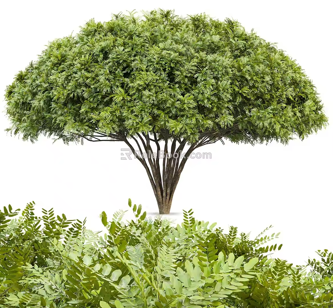 Modern tree landscape tree towering tree 3d model