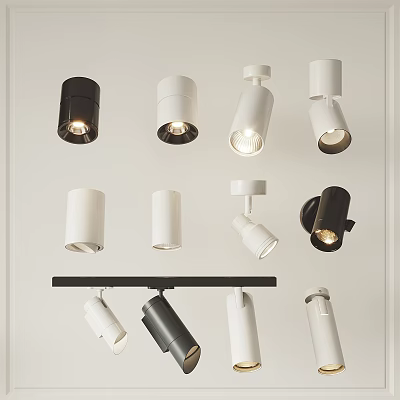 Modern Downlights and Spotlights with Black White Various Styles for Home Lighting 3d model