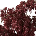 Decorative Hanging Ornament Set With Lush Red Foliage In Black Pot For Home Decor
