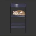 Blue Folding Chair With Orange And White Sleeping Cat On Seat
