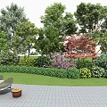 Lush Garden Trees Featuring Green Foliage Red Maple Shrubs Lawn And Outdoor Seating Area