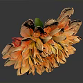 Vibrant Orange Dahlia Flower With Multiple Layers Of Petals And Green Stem Against Dark Background