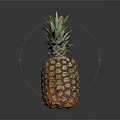 Fresh Ripe Pineapple With Green Leafy Top On Dark Reflective Surface