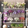 Colorful Flowers In Multiple Vases Arranged On Decorative Shelf With Green Plants
