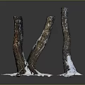 Wooden Stone Sculptures Two Artistic Pieces With Snow Like Base On Black Reflective Background