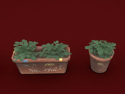 Green Leafy Plants Growing In Rectangular And Round Clay Flower Pots With Markings 3d model