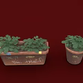 Green Leafy Plants Growing In Rectangular And Round Clay Flower Pots With Markings 3d model