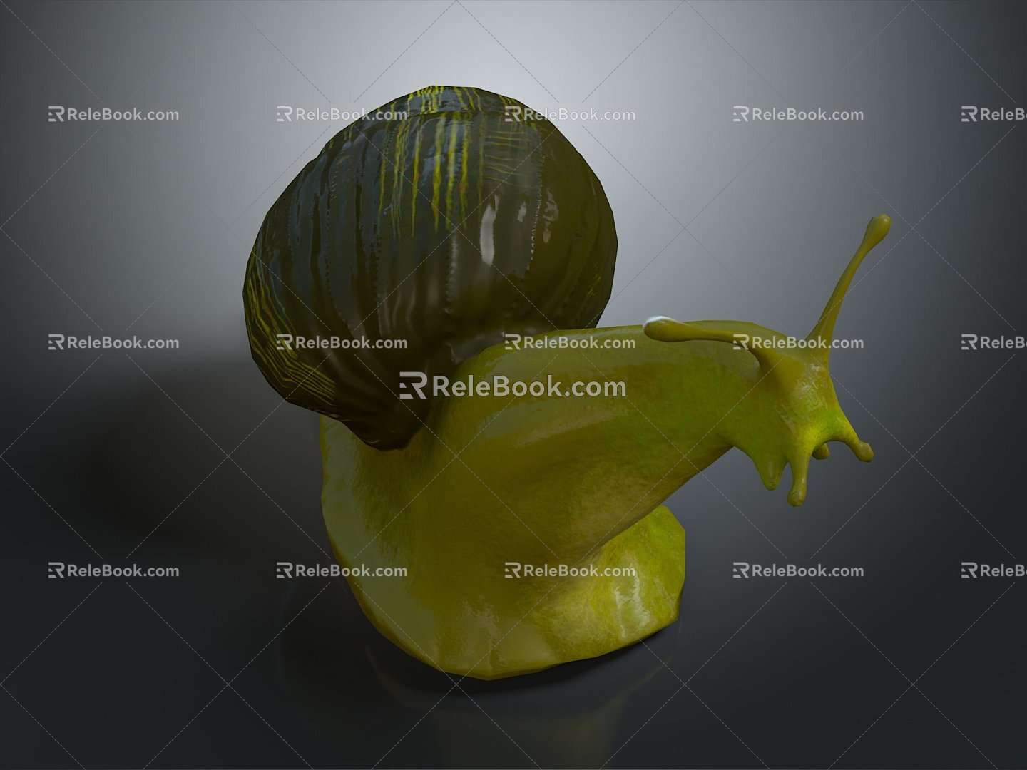 Snail Cartoon Snail Snail Small Snail Reptile Cold Blooded Animal Reptile 3d model