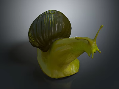 Reptile With Green Body And Dark Shiny Shell On Dark Background Surface 3d model