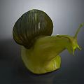Snail Cartoon Snail Small Snail Reptile Cold Blooded Animal Reptile 3d model