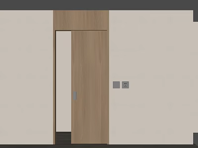 Modern Interior Wooden Sliding Door With Natural Wood Tone And Wall Control Panels 3d model