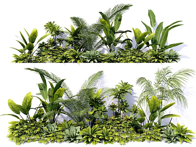 Lush Tropical Green Plants With Various Foliage For Indoor Garden Decoration 3d model